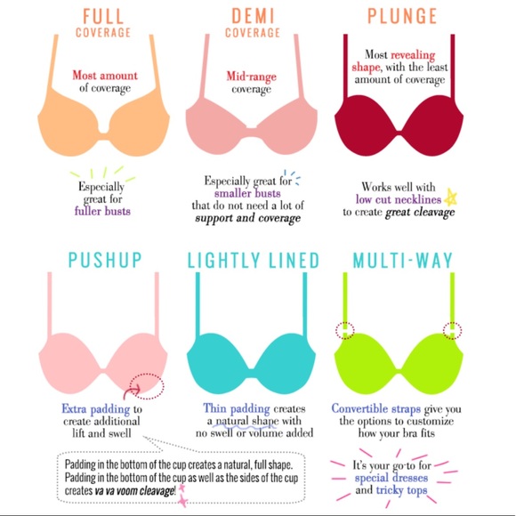 ᏴᎡᎪ ᏢᎪNᎢᏆᎬᏚ ᏆNᎢᏆᎷᎪᎢᎬᏚ Poshmark Classy Fashion Posh - Picture 2 of 10